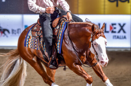 Salone del Cavallo Americano 2025 - 23–25 maggio, CremonaFiere.