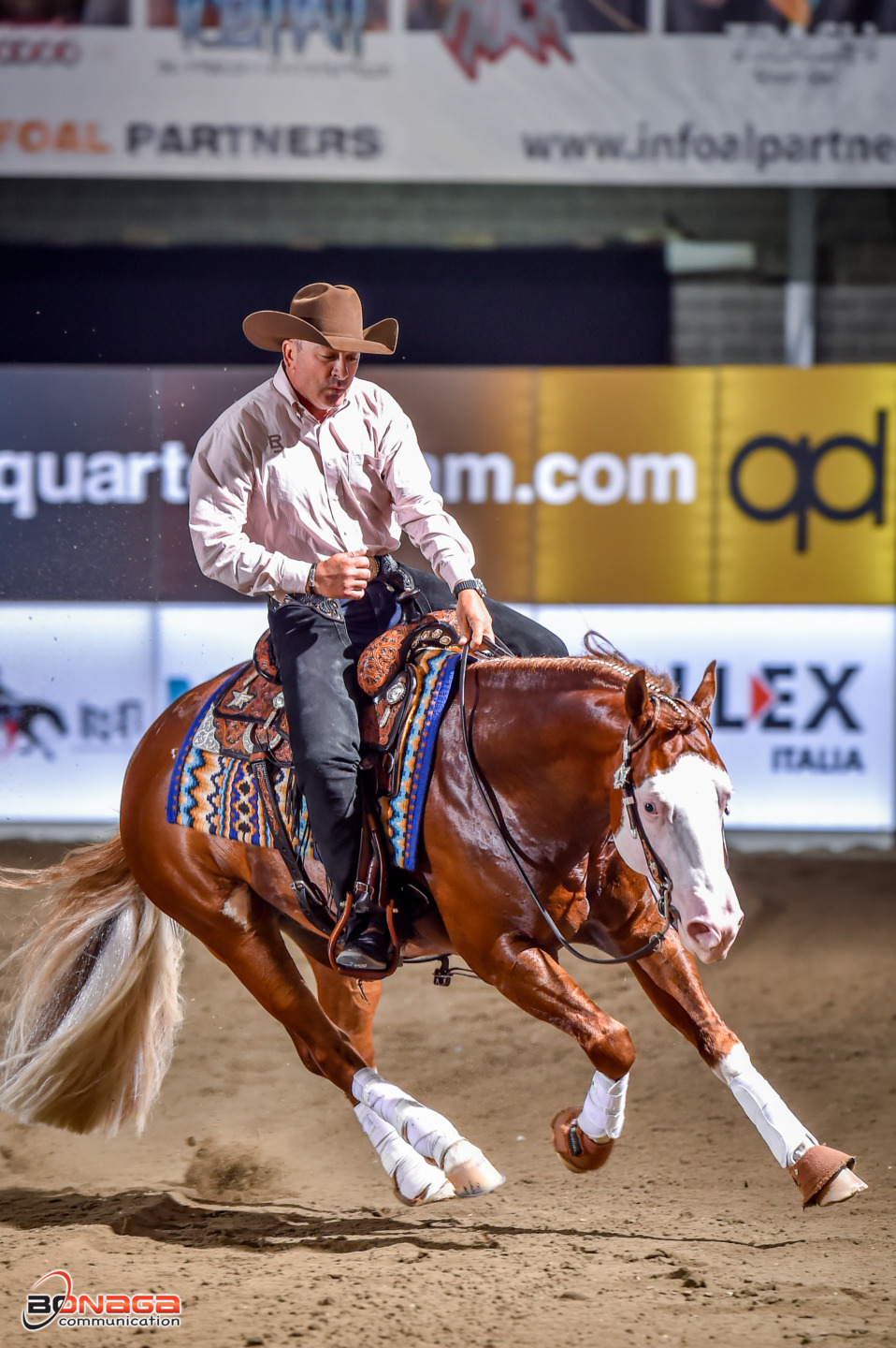 Salone del Cavallo Americano 2025 - 23–25 maggio, CremonaFiere.