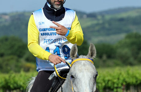 Endurance , Campionato Italiano Endurance,CEI3*, Montalcino, Yari, cavallo, cavaliere