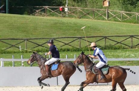 Arena Polo