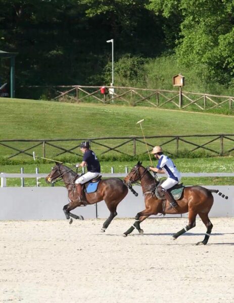Arena Polo
