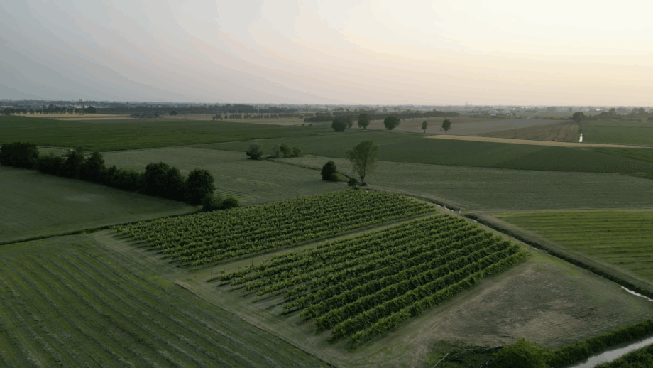 Cantina Caleffi 1