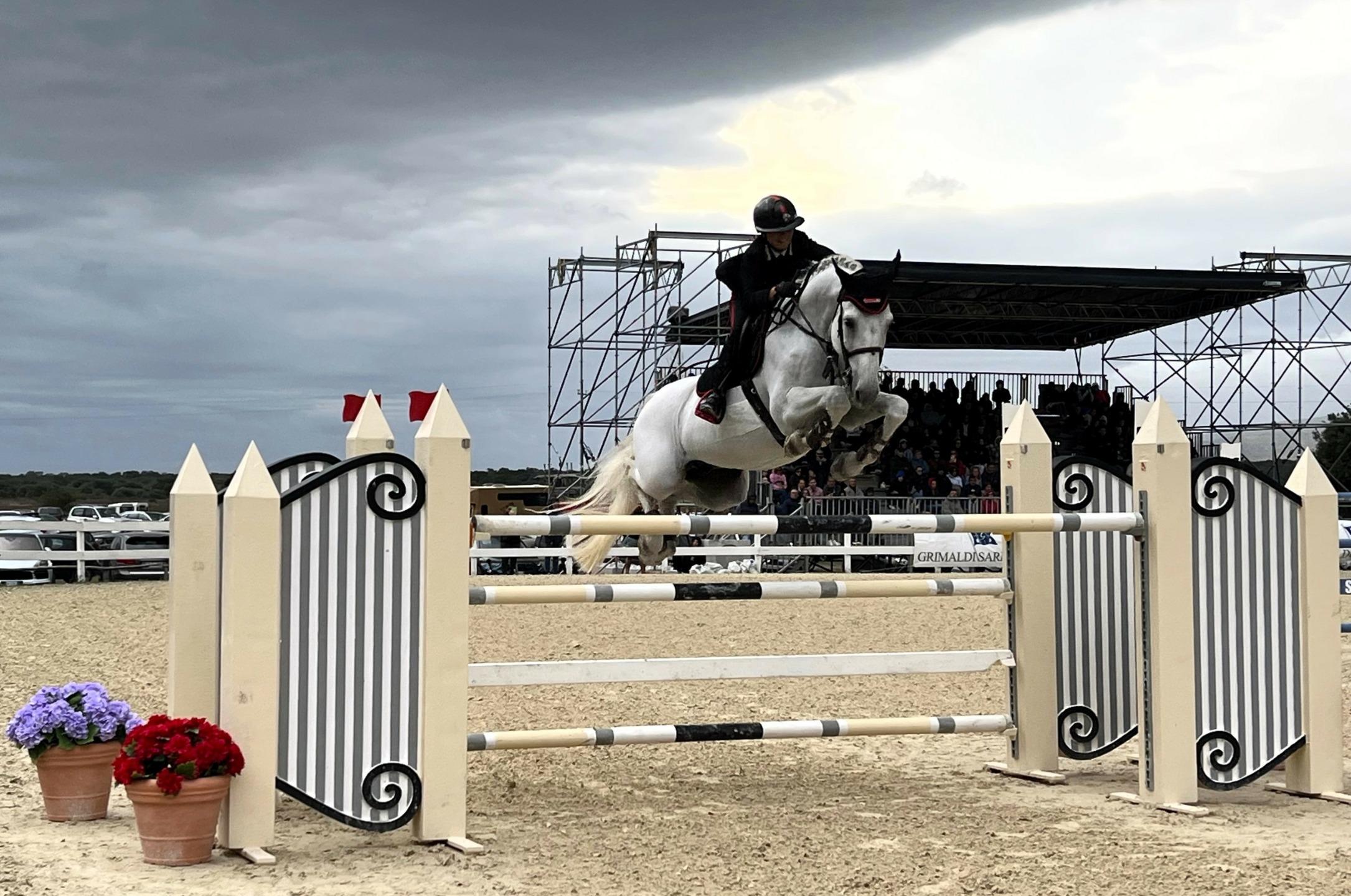 il Sardegna Jumping Tour 2026 che si disputerà a Tanca Regia dal 16 al 20 settembre ritorna internazionale (CSI 3*) e propone un montepremi totale di 186.700 euro