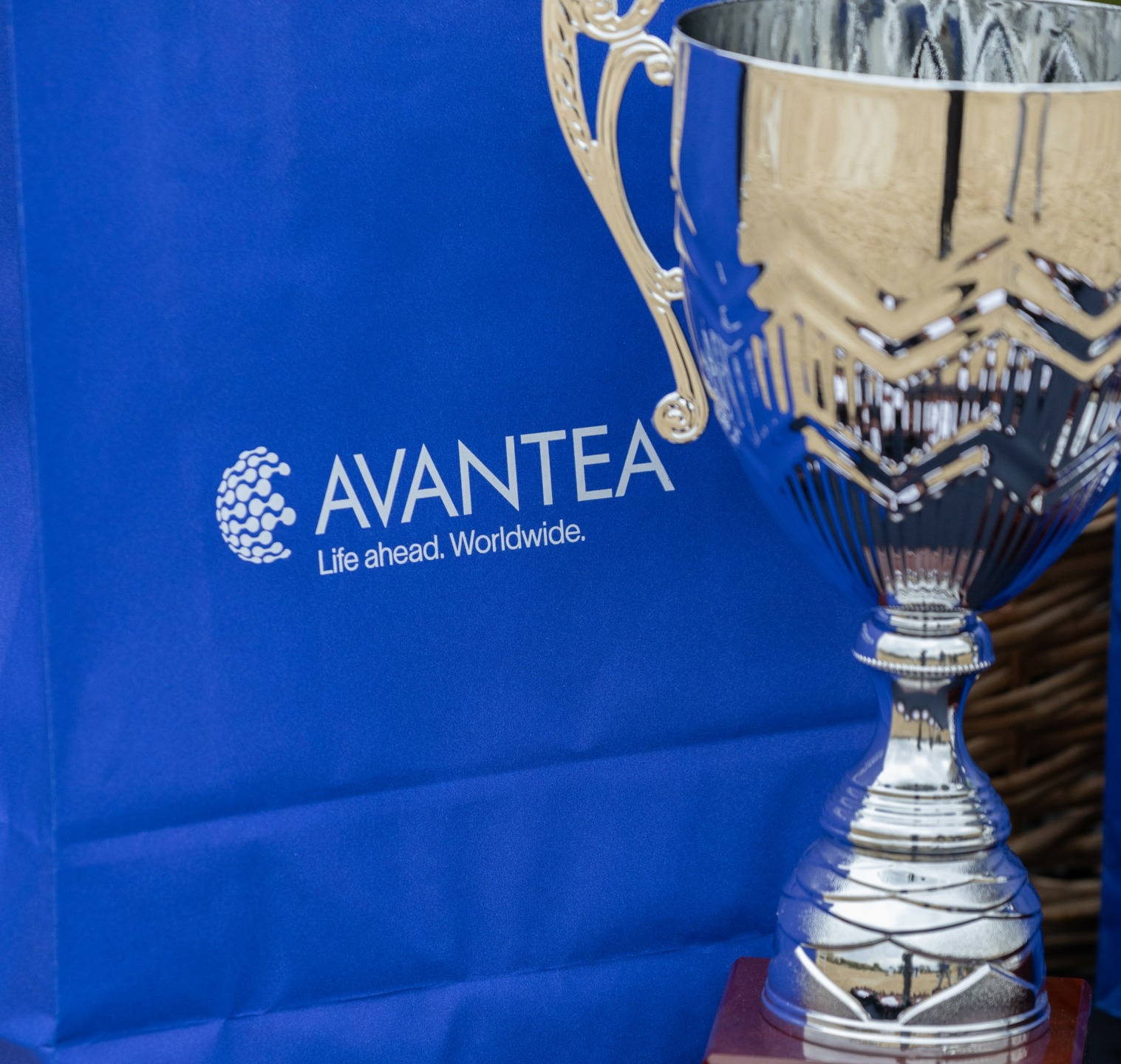 I tappa cavalli giovani FISE Avantea Hermada