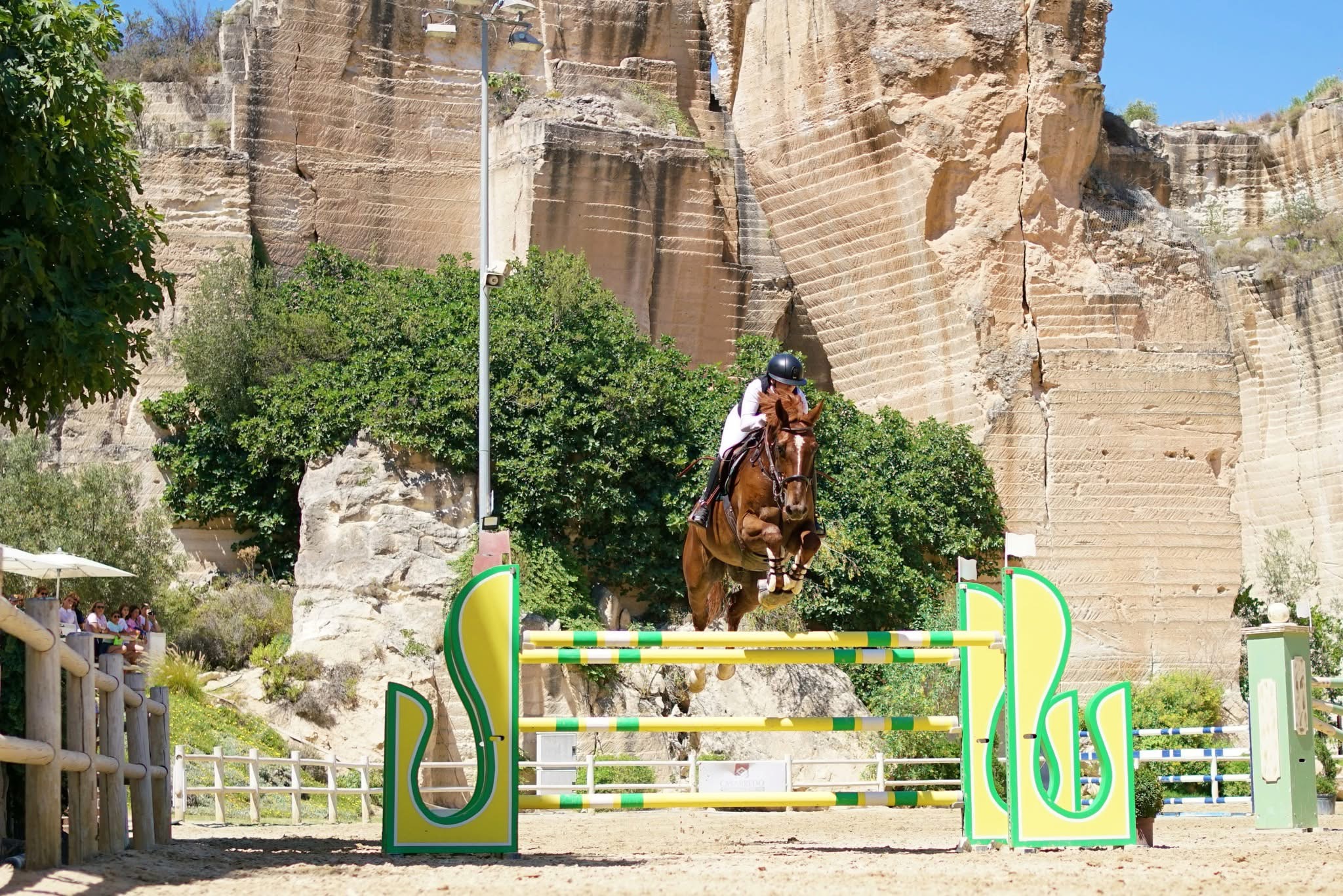Terra Jonica Horse Club: il salto ostacoli che incontra sostenibilità, inclusione e valorizzazione del territorio 1 IMG 0916
