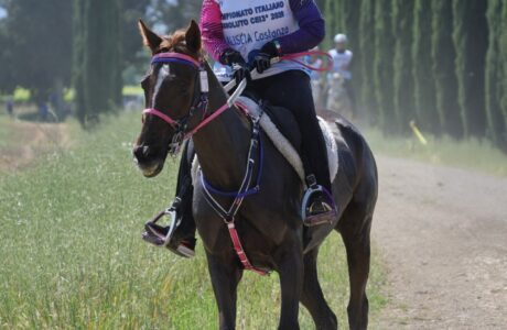 Il Fuxiateam brilla ai Campionati Italiani 2026