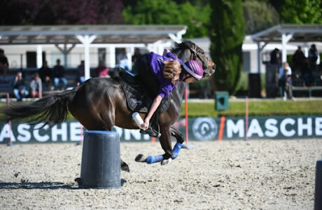 PONY MASTER SHOW MG