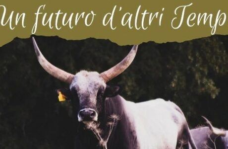 Un futuro d’altri tempi, in Umbria va in scena la tradizione che guarda al domani.