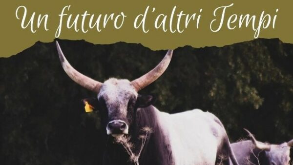 Un futuro d’altri tempi, in Umbria va in scena la tradizione che guarda al domani.