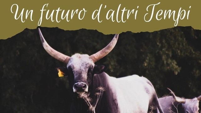 Un futuro d’altri tempi, in Umbria va in scena la tradizione che guarda al domani.