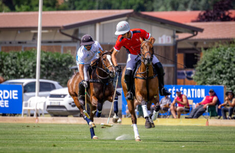 Polo in chantilly