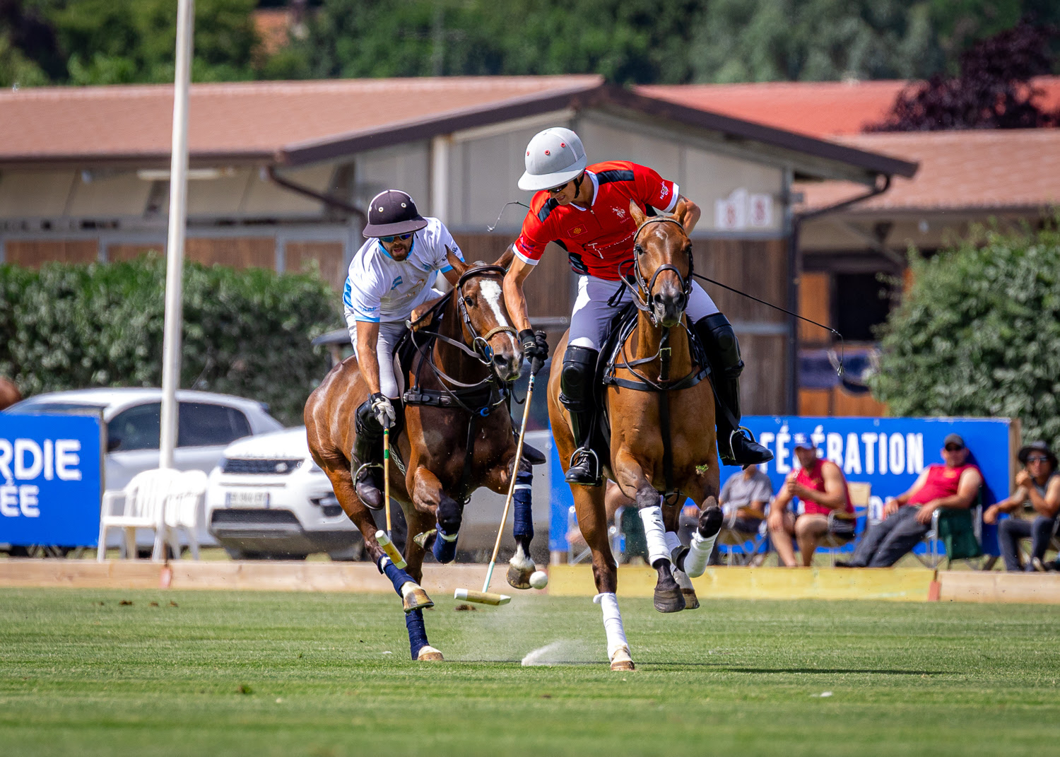 Polo in chantilly