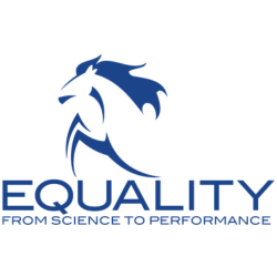 Logo Equality Partner