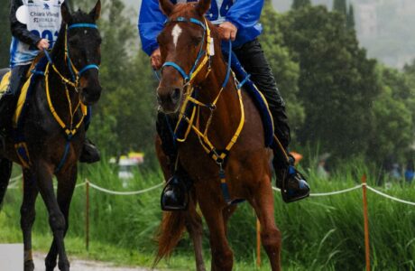Endurance: ai Campionati Italiani di Montalcino, sui 20 km dominano i sardi Costantino Sanna e Serena Pintore