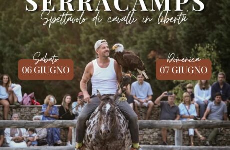 Show di Santì Serracamps con i suoi cavalli in libertà