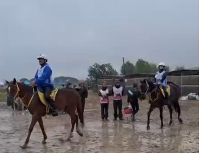 Endurance. ai Campionati Italiani di Montalcino, sui 20 km dominano i sardi Costantino Sanna e Serena Pintore. 2 Screenshot 14 5 2026 181030 web.whatsapp.com