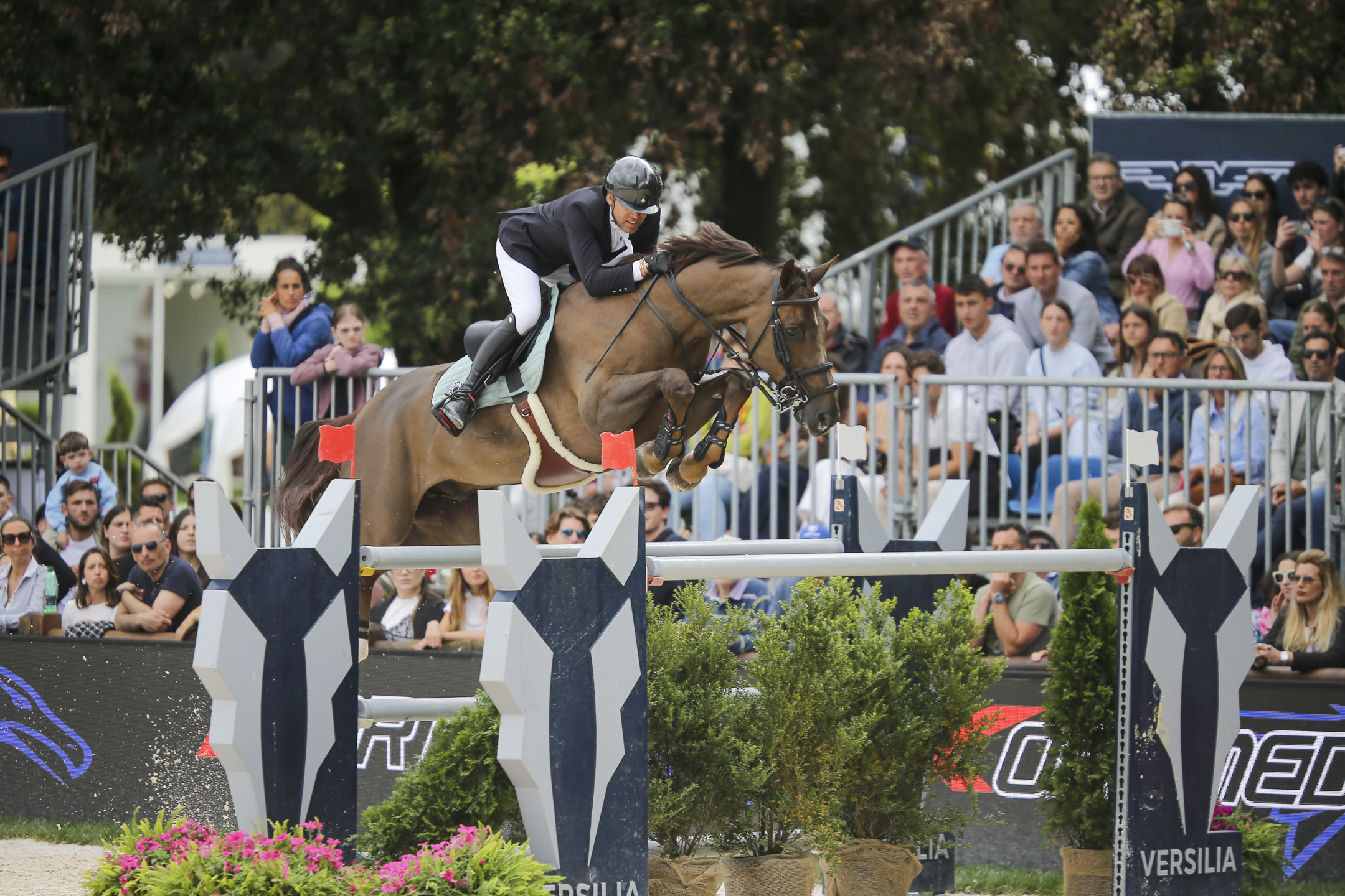 Simon Delestre Golden Boy DK