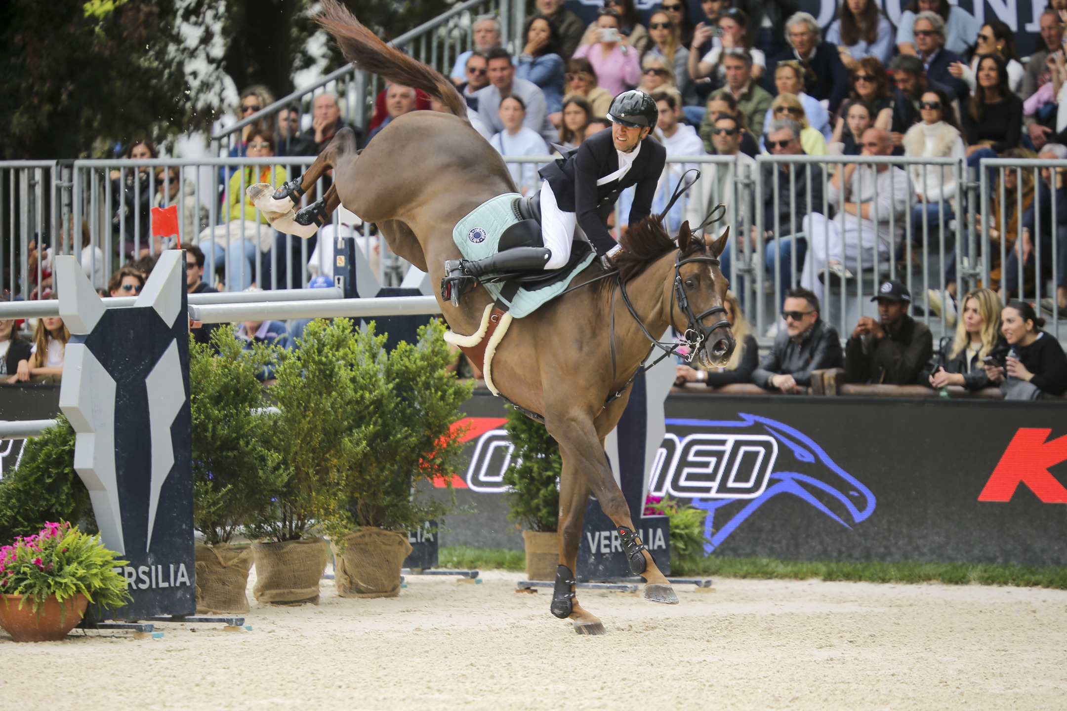 “Bisogna adattarsi continuamente a loro”: Simon Delestre, il benessere del cavallo e l’importanza dei dettagli 2 Simon Delestre Golden Boy DK FRA Versilia 20260510 SS7 3924