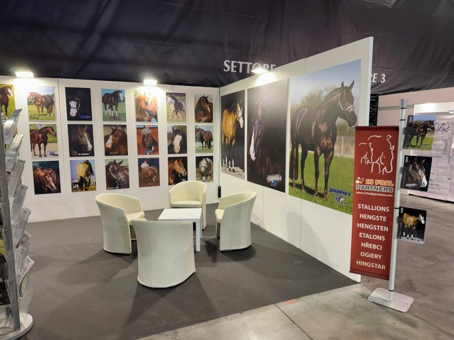 Stand in foal partners 1