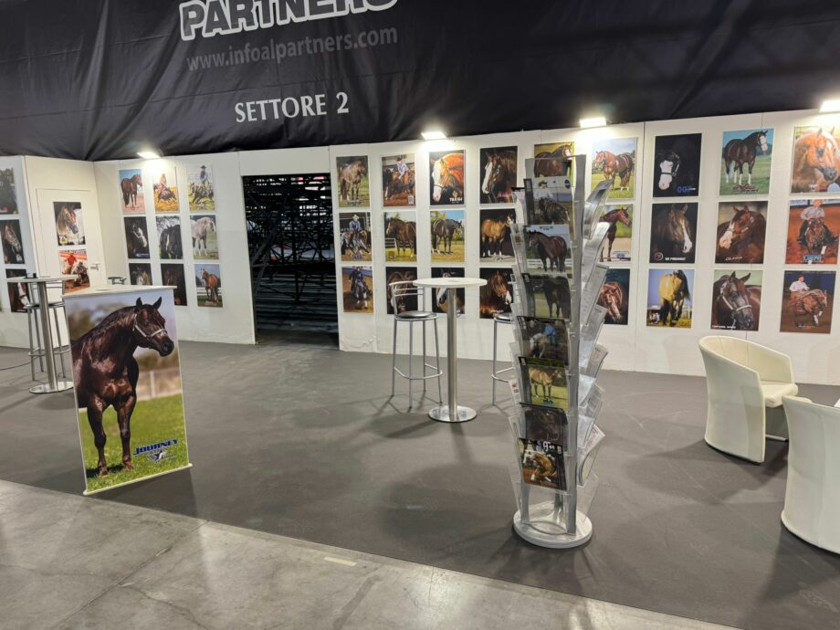 Stand in foal partners 3