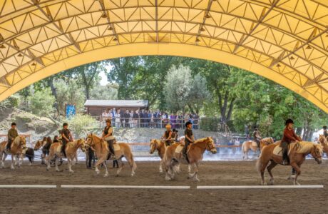 San Raffaele Viterbo, 40 anni di riabilitazione equestre: il cavallo come cura, inclusione e rinascita.