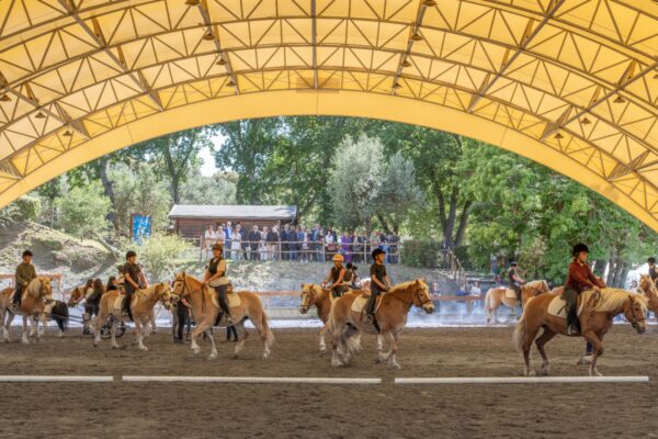 San Raffaele Viterbo, 40 anni di riabilitazione equestre: il cavallo come cura, inclusione e rinascita.