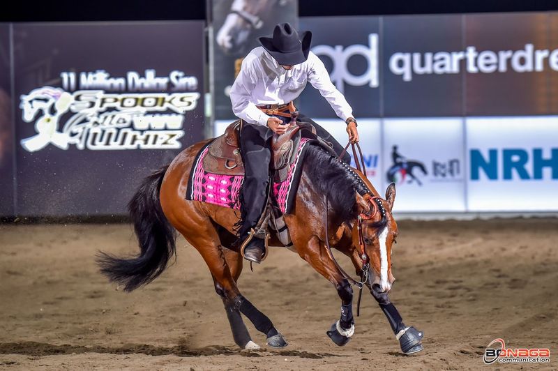 “Il viaggio dell’uomo dentro se stesso attraverso il cavallo”.