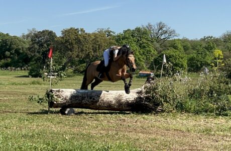 Dressage Salto e completo ad Abbasanta