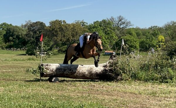 Dressage Salto e completo ad Abbasanta