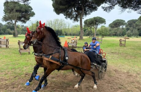 Alessandro Formia per la disciplina degli attacchi equestri 1
