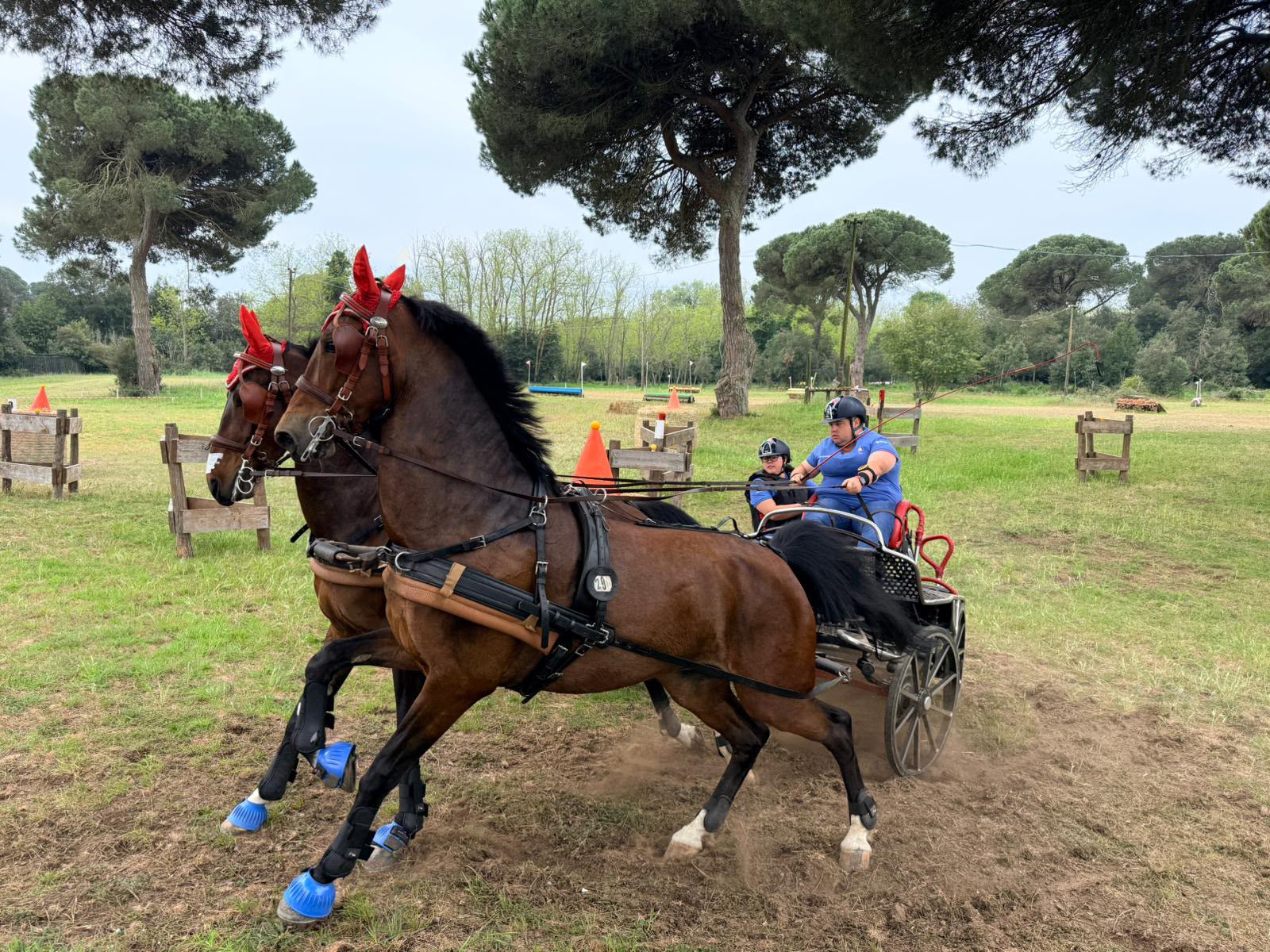 Alessandro Formia per la disciplina degli attacchi equestri 1