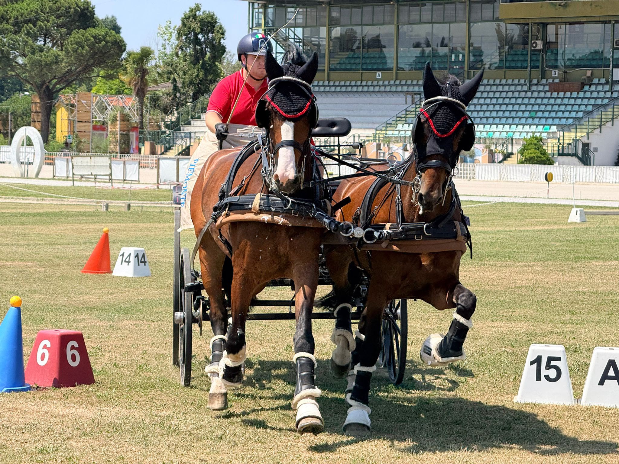 Alessandro Formia e il secondo posto del Piemonte nella Coppa delle Regioni di Attacchi 4 Alessandro Formia per la disciplina degli attacchi equestri 4