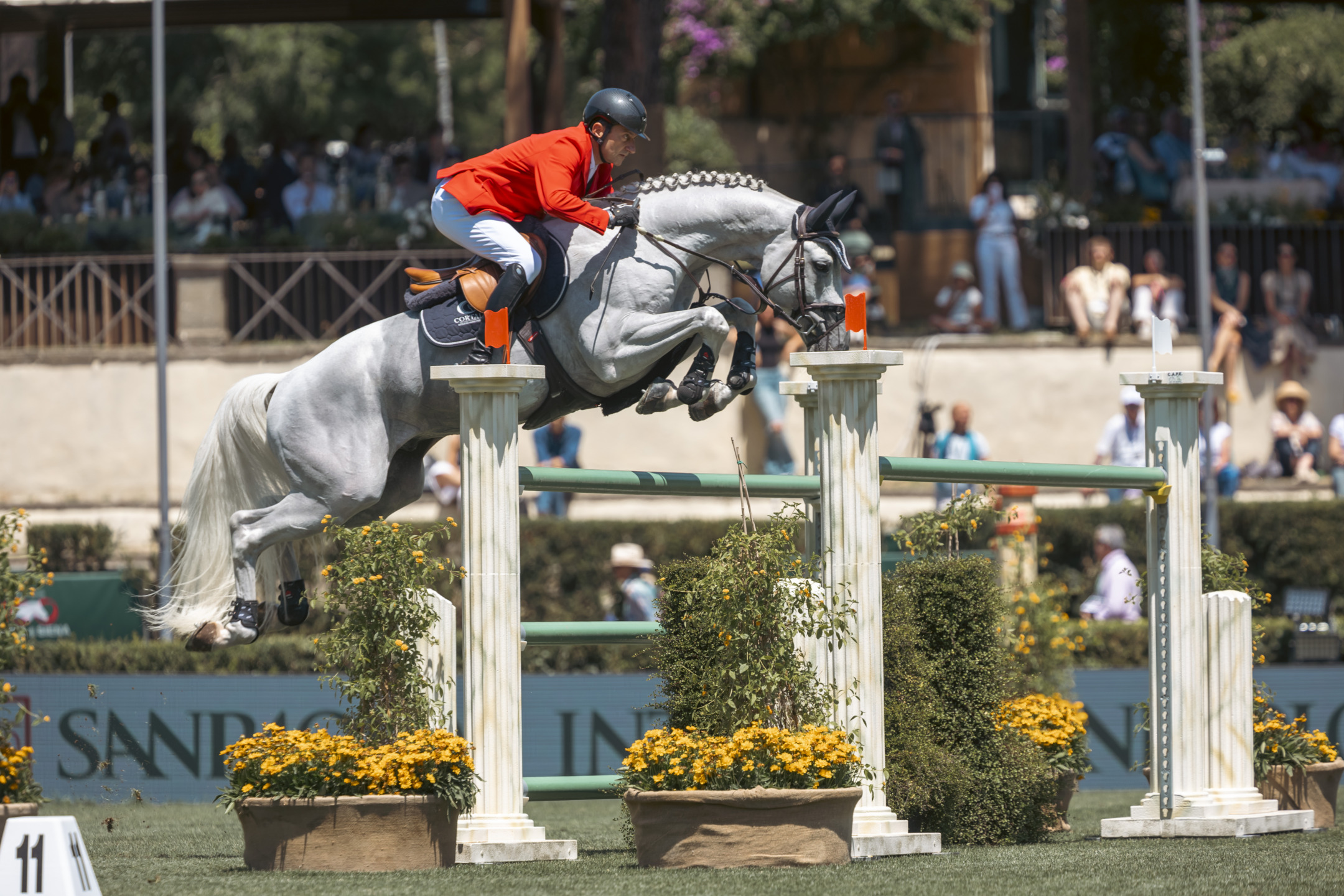 BUCCI Piergiorgio ITA PALLIETER VD N.RANCH Roma2026 31 05 26 SS350329