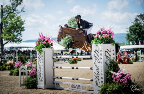 Daniel Bluman on Hummer Z