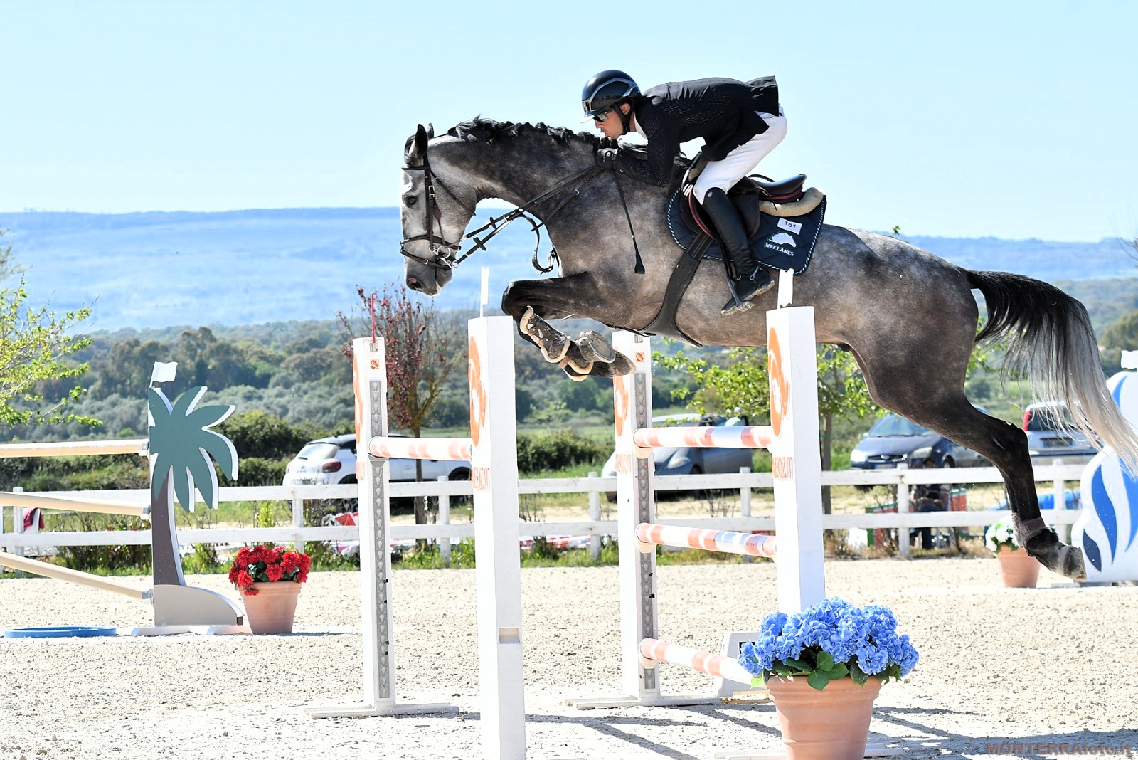 Giovanni Carboni Darezzo foto Corbinzolu