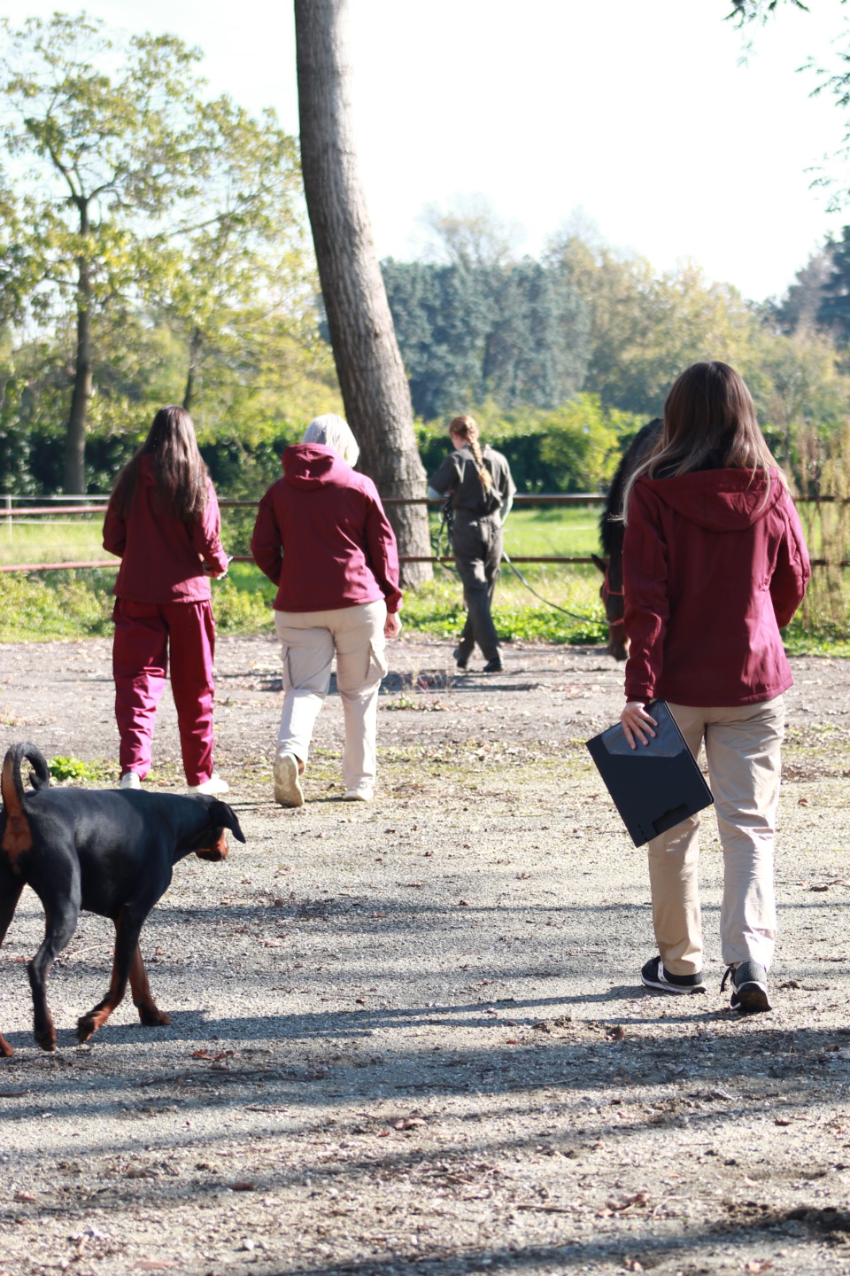 Vet Education apre le porte della clinica: il 20 giugno un Open Day dedicato alla formazione e alla salute del cavallo 9 IMG 4724