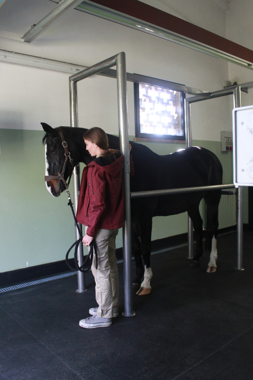 Vet Education apre le porte della clinica: il 20 giugno un Open Day dedicato alla formazione e alla salute del cavallo 4 IMG 4727
