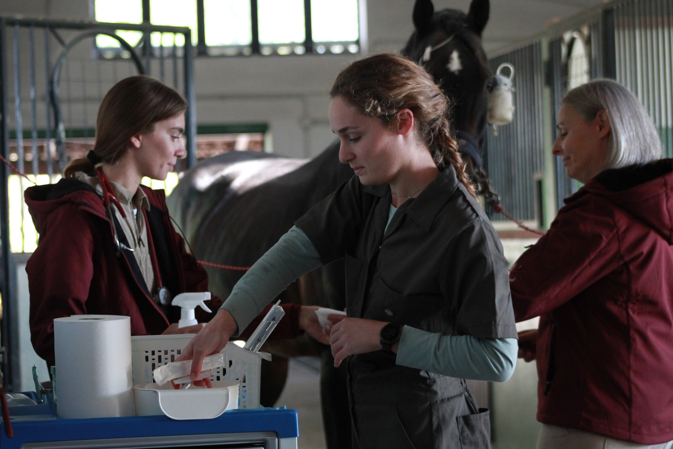 Vet Education apre le porte della clinica: il 20 giugno un Open Day dedicato alla formazione e alla salute del cavallo 2 IMG 4728