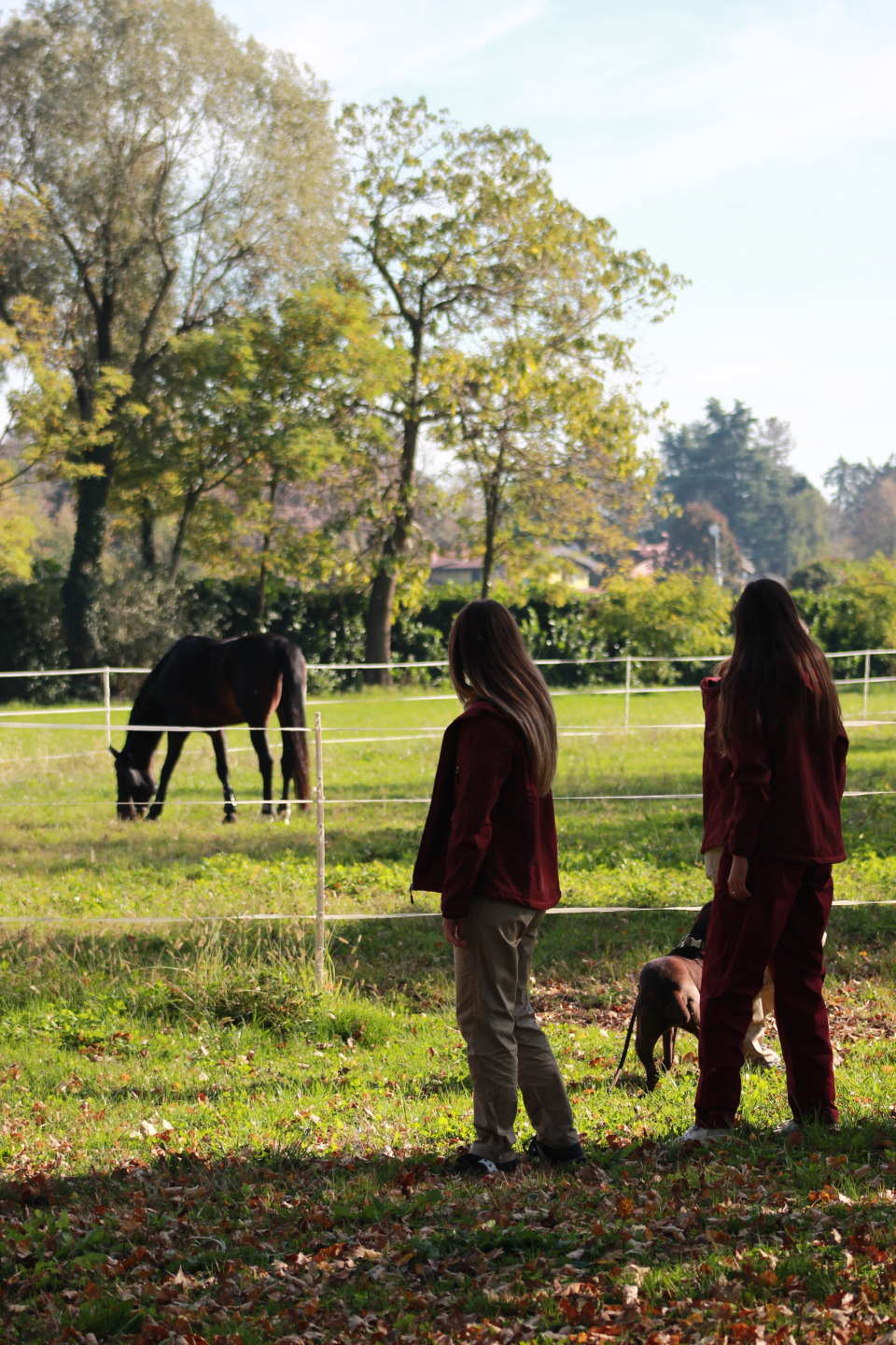 Vet Education apre le porte della clinica: il 20 giugno un Open Day dedicato alla formazione e alla salute del cavallo 10 IMG 4729