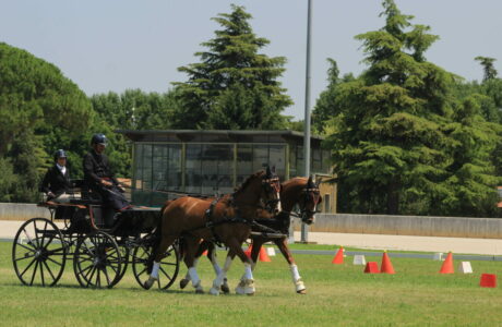 IMG 4815