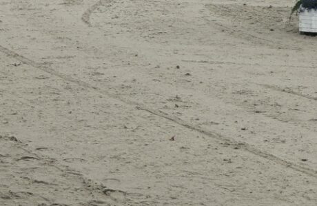 Quando la pioggia entra in campo, il salto ostacoli alla prova del terreno.