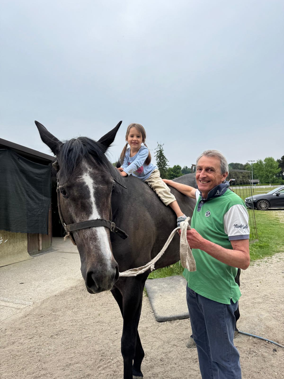 Moreno Meiohas di Equality Horse 3