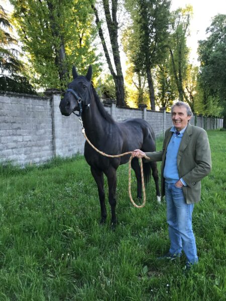 Moreno Meiohas di Equality Horse