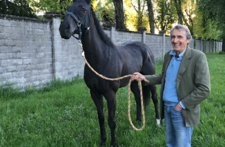 Moreno Meiohas di Equality Horse