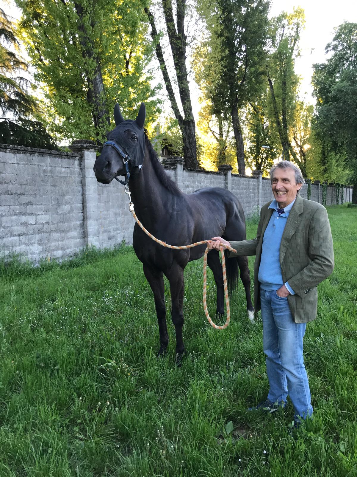 Moreno Meiohas di Equality Horse