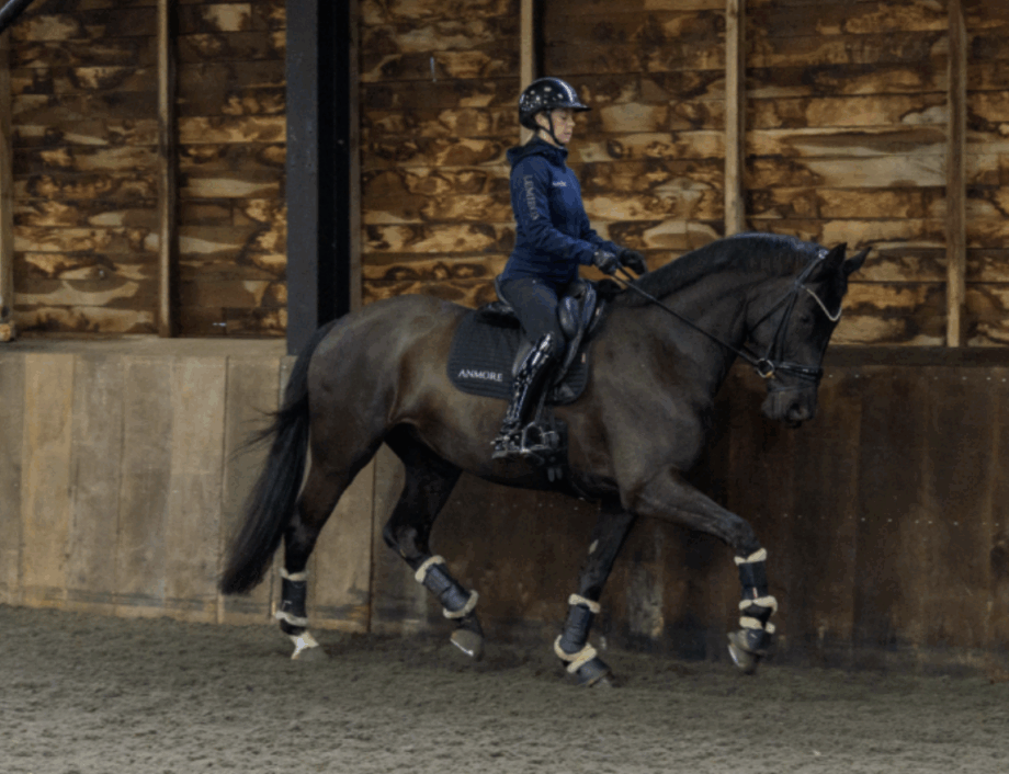 Dai primi passi al Grand Prix: la visione che guida Anmore Dressage 2 Screenshot 2026 06 16 at 09.26.42