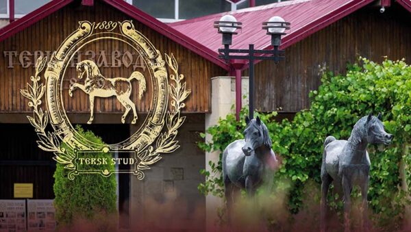 Campionato italiano Endurance 2026, uno sguardo all'allevamento italiano.