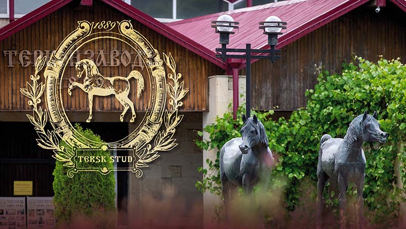 Campionato italiano Endurance 2026, uno sguardo all'allevamento italiano.