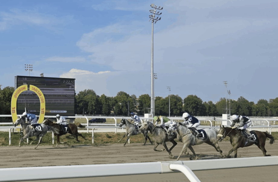 RB Burn The Bill scrive la storia a Milano, prima femmina vincitrice della UAE President Cup in Italia. 2 UAE President Cup 2026 Milano