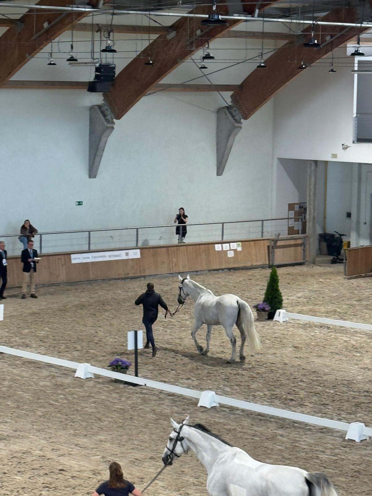 Vet check CSIO4 Sopot